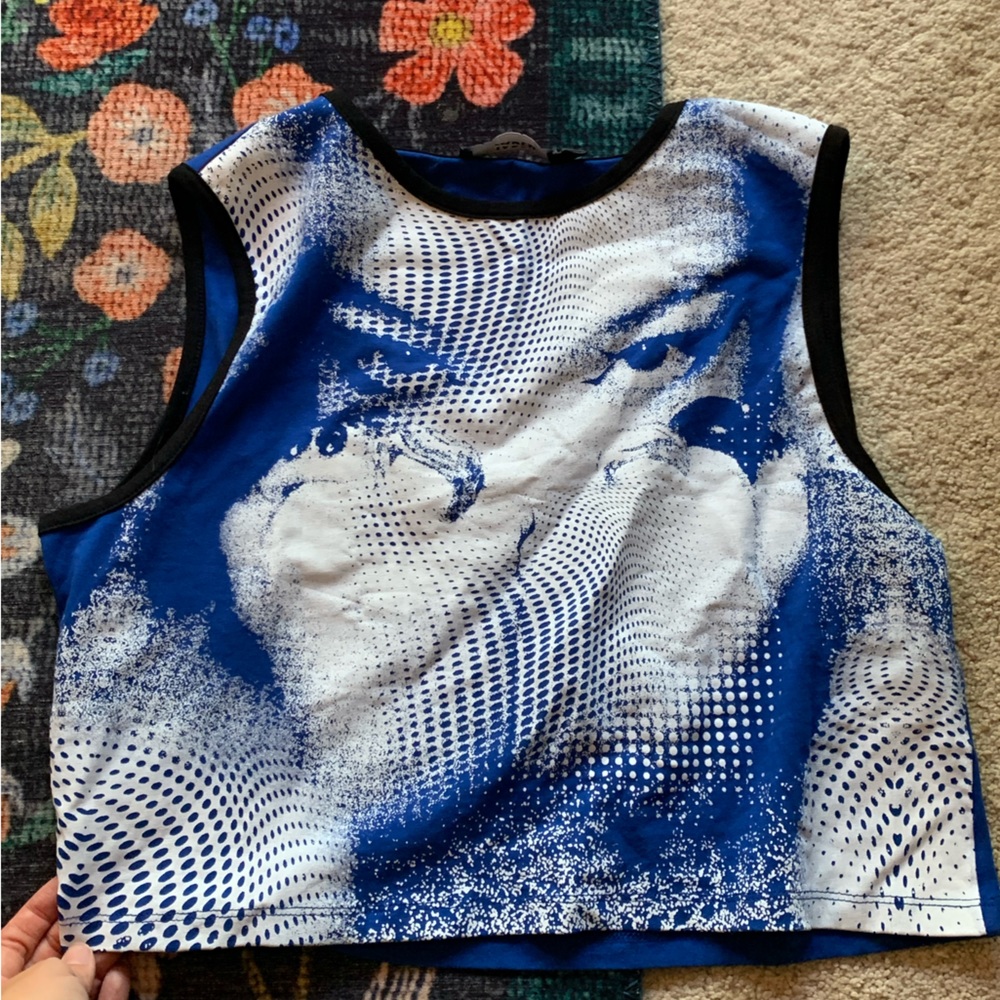 Jaded London Blue and White Graphic Crop Top